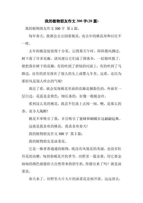 我的植物朋友作文300字第1篇: 每年春天,我都会去公园看桃花,而去年的
