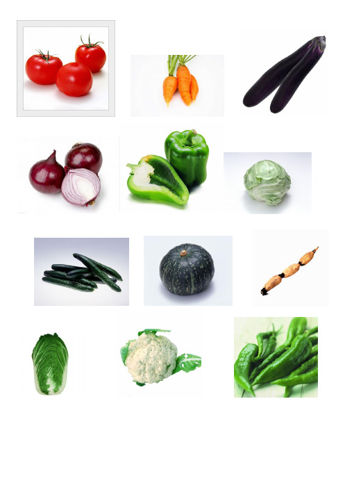 蔬菜的种类 - 百度文库