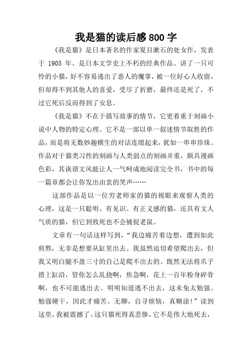 我是猫读后感600字 - 百度文库