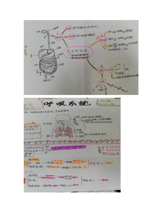 生物七年级下思维导图 - 百度文库