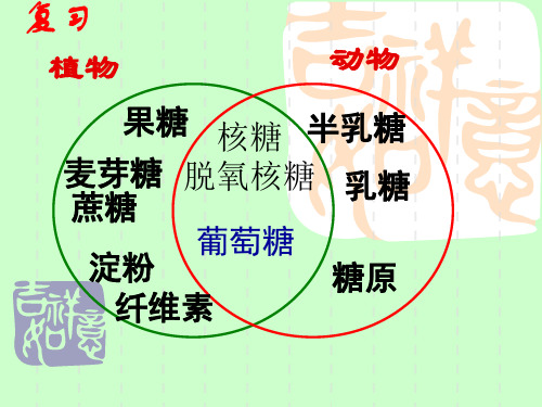 乳糖 葡萄糖 淀粉 糖原 纤维素 小结:糖类物质按功能分类 1 生物细胞